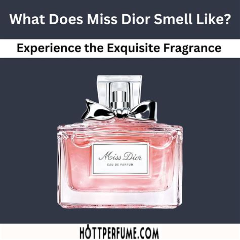 miss dior düsseldorf|what does Miss Dior smell like.